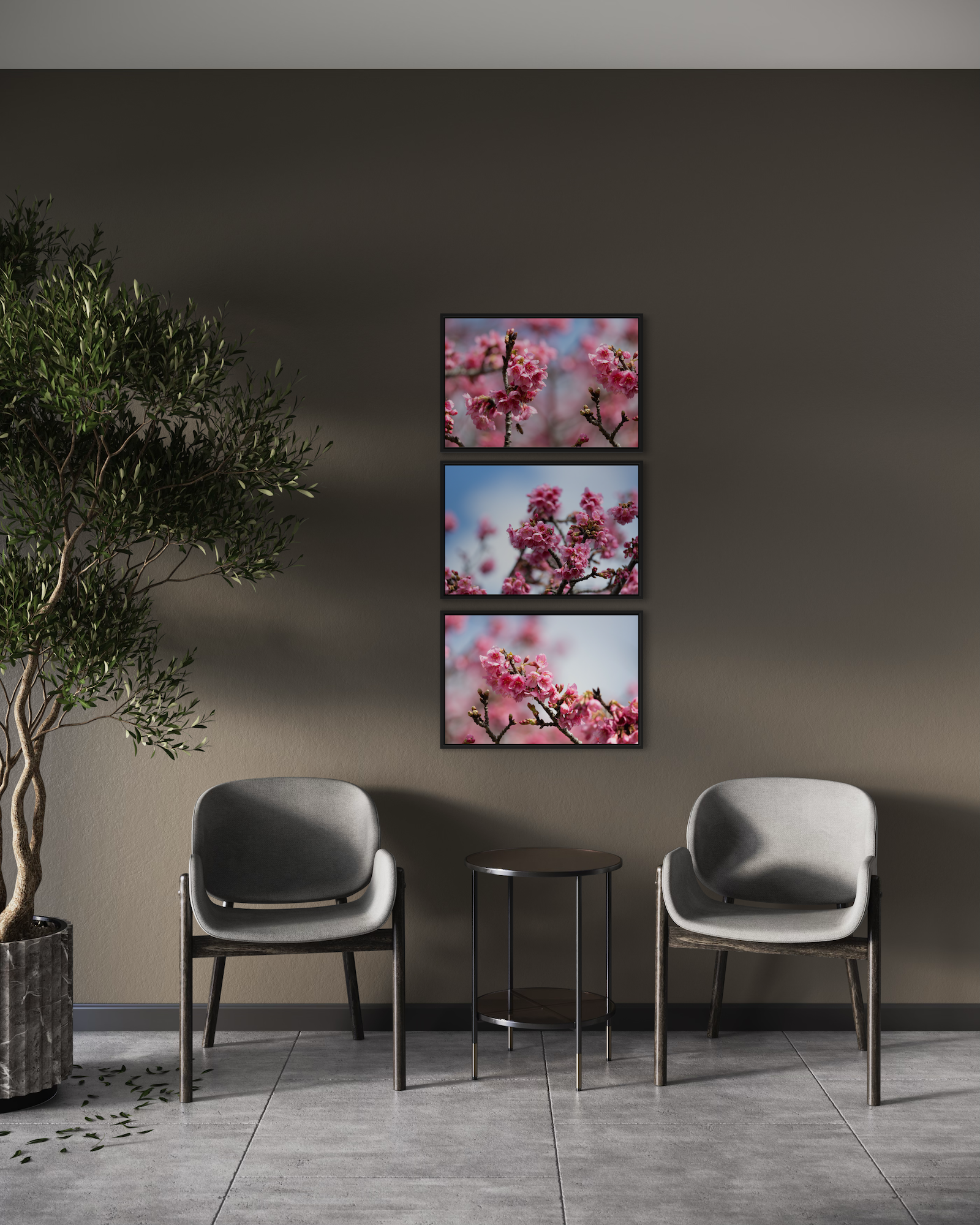 Ambientação 3
